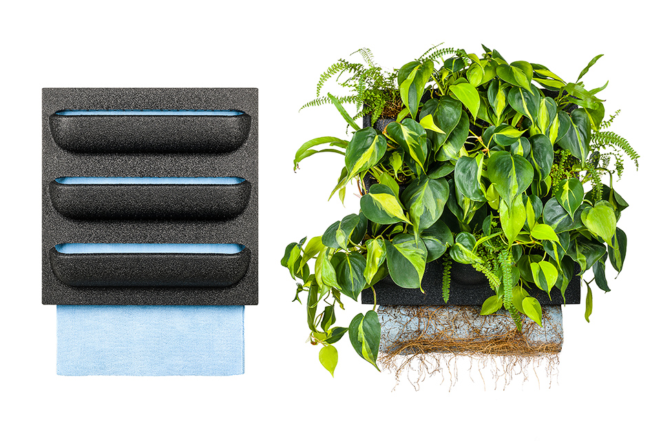 Hangende plantenbak systeem op witte achtergrond